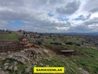 Resim12409